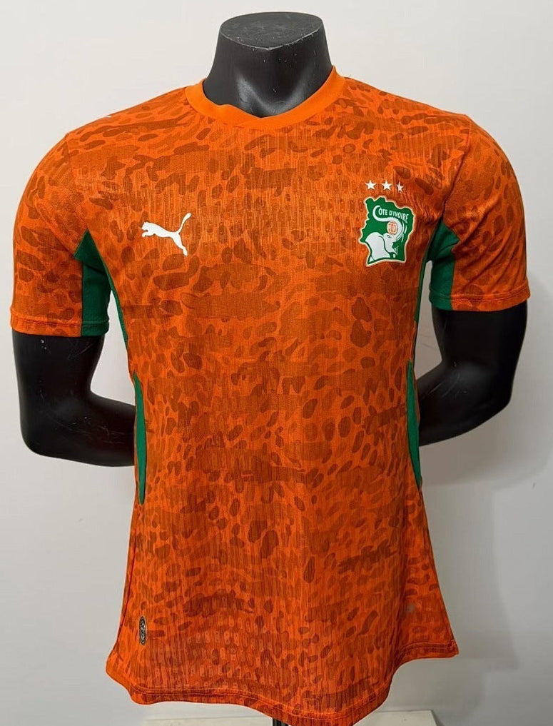 Maillot Cote d'Ivoire 2025/2026 Version Player — Maillot de football