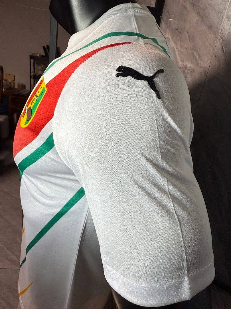 Maillot Guinée 2026/2027 Version Player NOUVEAU ! — Maillot de football